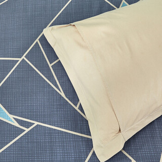 艾薇 套件家纺 全棉床单四件套双人床上用品 隆之价 1.5/1.8米床 被套200*230cm