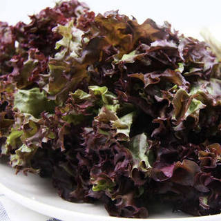 小汤山 紫叶生菜 约300g 新鲜蔬菜