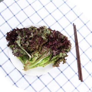 小汤山 紫叶生菜 约300g 新鲜蔬菜