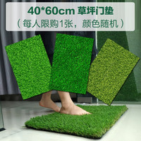 青洲 仿草坪门垫 40*60cm