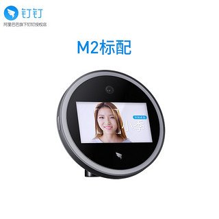 DingTalk 钉钉 M2 人脸识别考勤机