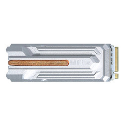 GALAXY 影驰 名人堂 HOF PRO NVMe M.2 SSD固态硬盘 500G