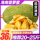 海南黄肉菠萝蜜15-40斤新鲜孕妇水果包邮一整个当季整箱红心肉30 *2件