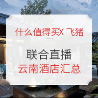 细细分析！什么值得买X飞猪联合直播 三亚酒店 