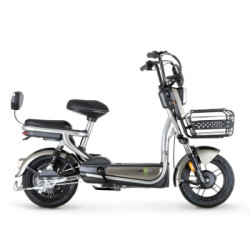 Luyuan 绿源  圣甲虫 电动自行车 48V20Ah锂电池 