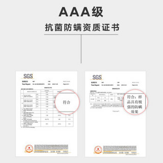 SANLI 三利 干发帽 柔软强吸水A类抗菌防螨擦头发浴帽速干毛巾 25