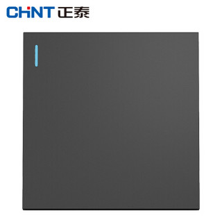 正泰（CHNT）5C00206 5C/深灰色/一开双控开关（宽72mm） 模块 （2个装）
