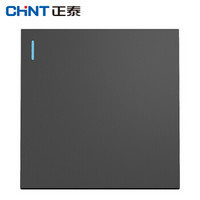 正泰（CHNT）5C00206 5C/深灰色/一开双控开关（宽72mm） 模块 （2个装）