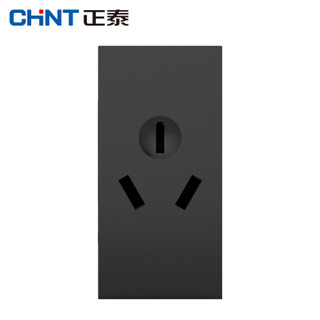 正泰（CHNT）5C10316 5C/深灰色/小三孔插座16A 模块 （2个装）