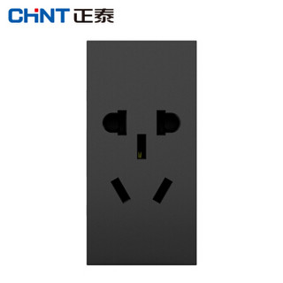 正泰（CHNT）5C10536 5C/深灰色/小五孔插座10A 模块 （2个装）