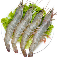 厄瓜多尔虾 （80-110只） 原装进口 空运直达 海鲜基围虾白虾 （净重2.8-3.2斤）