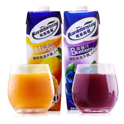 欢乐田园  果汁饮料 蓝莓汁1.5L+芒果汁1.5L