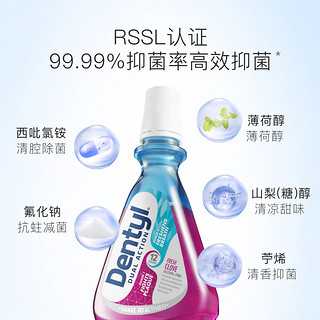 dentyl 邓特艾克 除口臭星空漱口水 500ml