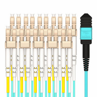 海乐（Haile）多模万兆MPO-LC24芯OM3光纤跳线 100G转10对LC MPO分支光纤跳纤 3米 MPO-MT24-LC-3M