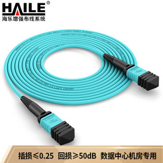 海乐（Haile）多模万兆MPO-MPO24芯OM3光纤跳线 100G模块用跳纤 15米 MPO-MT24-15M