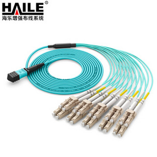 海乐（Haile）多模万兆MPO-LC24芯OM3光纤跳线 100G转10对LC MPO分支光纤跳纤 3米 MPO-MT24-LC-3M