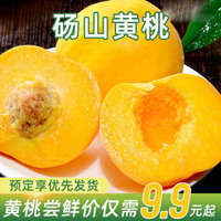 安徽砀山黄桃新鲜大桃子应季水果 黄桃5斤 *2件