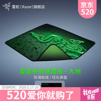 雷蛇（RAZER）重装甲虫布面锁边游戏鼠标垫 速度版-大地 小号 270x215