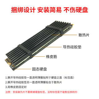 雷克沙（Lexar）SSD固态硬盘 M.2 SATA III接口 固态硬盘 配件礼品非雷克沙产品：散热片 NM100系列