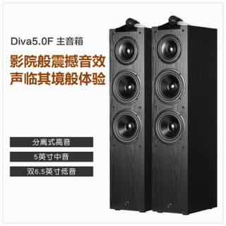 惠威（HiVi） Diva5.0HT家庭影院5.1音响组合KTV箱家用HIFI影院套装 DIVA5.0(5.0声道) + 安桥252功放