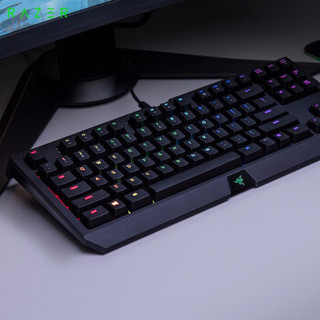 雷蛇（Razer）黑寡妇蜘蛛 机械键盘 绿轴 有线键盘 游戏键盘 电竞吃鸡键盘 幻彩竞技版V2（含腕托）