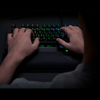 雷蛇（RAZER） 黑寡妇蜘蛛机械键盘人体工程学键盘腕托 标准版