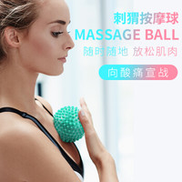 AiMeiShi艾美仕足脚底健身瑜伽按摩球手掌部肌肉放松刺猬球健康球经膜球筋膜球 水蓝色/直径9cm