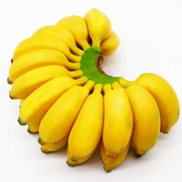 贵州 小米蕉香蕉 9斤装