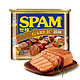 SPAM 世棒 午餐肉蒜味 340g *11件