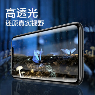 PISEN 品胜 IphoneXS Max//11P Max手机膜 全屏硬边 两片装