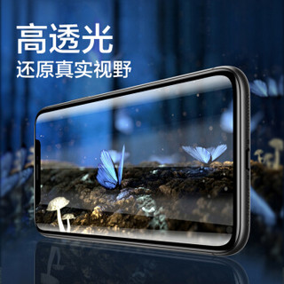 PISEN 品胜 Iphone11/XR手机膜 全屏硬边 两片装