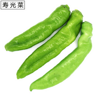 山东寿光蔬菜 尖椒 约600g 青椒 寿光菜 新鲜蔬菜