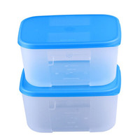 Tupperware特百惠 冷冻保鲜盒家用冰箱密封储藏保鲜收纳盒700mlx2