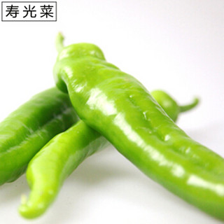 山东寿光蔬菜 尖椒 约600g 青椒 寿光菜 新鲜蔬菜