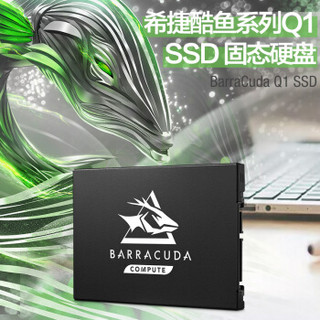 SEAGATE 希捷 酷鱼Q1系列 SSD固态硬盘 960GB SATA接口