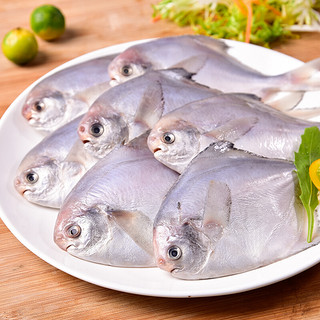 GUOLIAN 国联 东海白鲳鱼 5-8条 600g