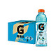 佳得乐 GATORADE 蓝莓味 功能运动饮料 600ml*15瓶 *3件