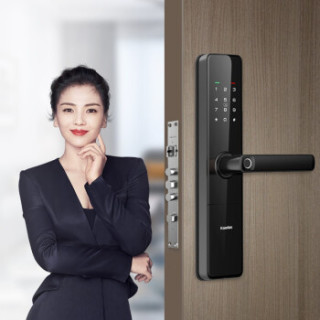 kaadas 凯迪仕 F1 智能门锁