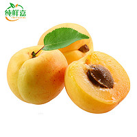 纯鲜嘉 山西大黄杏 5斤 金太阳黄杏子 时令生鲜水果桃子 孕妇水果 净重4.5-5斤