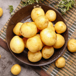 贵州威宁黄皮黄心小土豆 10斤装