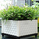 奥美优 阳台蔬菜种植箱 家庭菜园花盆 塑料方形组合 种菜箱 种植盆 LZ7511 白色 一联箱（不含绿植） *4件