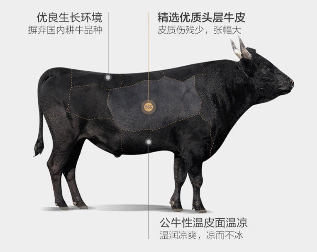 19道精制工序终成一席，百丽丝意大利进口头层角花牛皮席