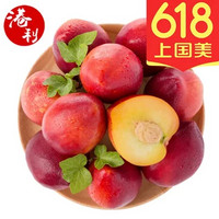 贡晶 山东油桃桃子大油桃2.5公斤装单果100-200g