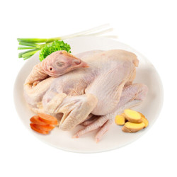dajiang大江食品老母鸡1kg只9件
