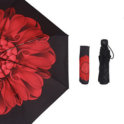 RAINSCAPE 雨景 单层黑胶遮阳伞