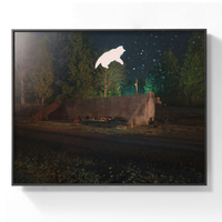 艺术品 碉堡飞行 Benoit Paillé 作品 Old WWII Bunker