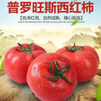 杞农云商  普罗旺斯西红柿2.5公斤