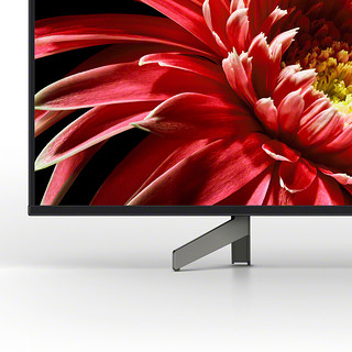 SONY 索尼 BA35G系列 FW-55BA35G 65英寸显示器 3840*2160 IPS 60HZ  