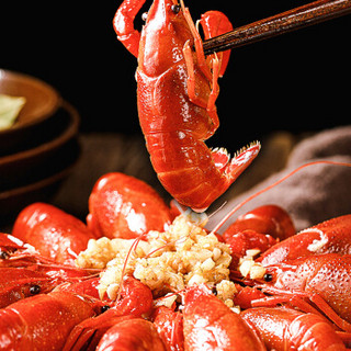 红功夫 蒜香小龙虾1.8kg 4-6钱/35-45只 火锅食材 净虾1kg 海鲜水产