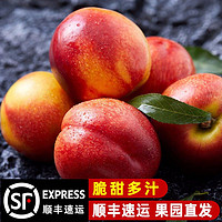 黄心大油桃5斤装 单果100g以上当季孕妇水果脆甜多汁